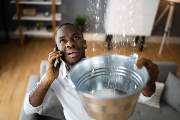 Best Flood damage cleanup  in Delano, MN