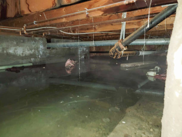 Best Emergency water damage restoration  in Delano, MN