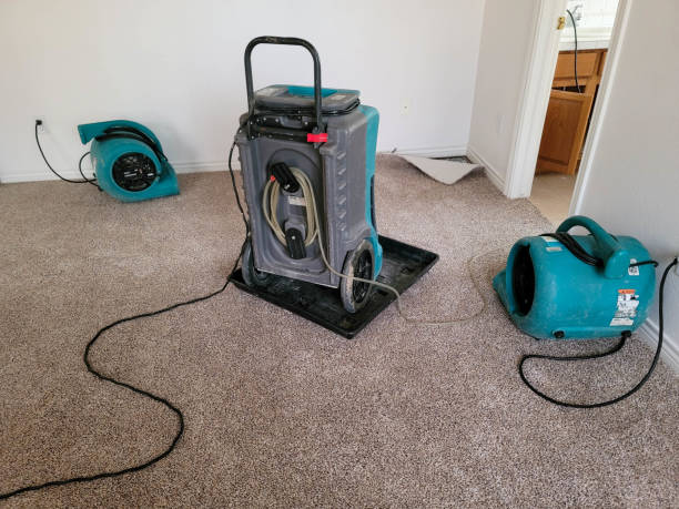 Best 24-hour water damage restoration  in Delano, MN