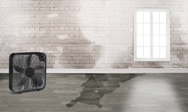 Local water damage restoration in MN