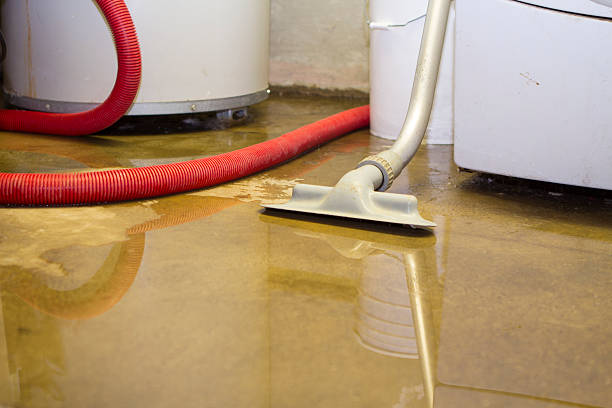 Best Water damage cleanup near me  in Delano, MN