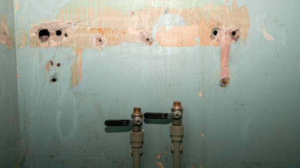 Best Sewage cleanup and water damage restoration  in Delano, MN